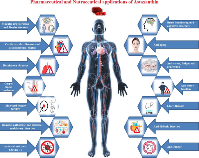 ipamorelin typical dosage CJC-1295/Ipamorelin Dosage Protocol: The Complete Clinical Guide to Dosing,  Cycling, and Injection