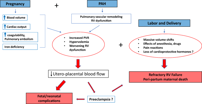 Hypertension in Pregnancy: Current Perspective