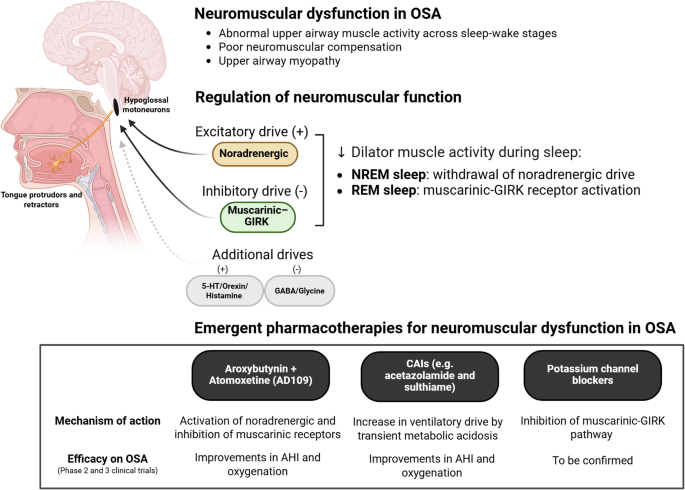 tirzepatide sleep apnea mechanism What's the Best Treatment for Obstructive (OSA)? Tirzepatide for Patients with Obesity