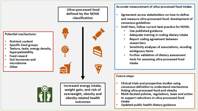 Ultra-processed Food and Obesity: What Is the Evidence? | Current Nutrition  Reports | Springer Nature Link