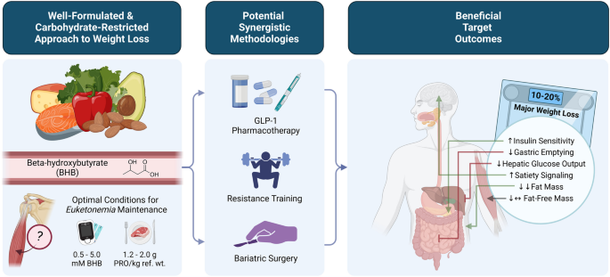 Nutritional Considerations During Major Weight Loss Therapy: Focus on Optimal Protein and a Low-Carbohydrate Dietary Pattern | Current Nutrition Reports | Springer Nature Link Nutritional Considerations During Major Weight Loss Therapy: Focus on Optimal Protein and a Low-Carbohydrate Dietary Pattern | Current Nutrition Reports | Springer Nature Link