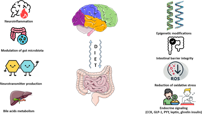 glp 1 brain fog Nutritional Approaches to Managing Brain Fog: Insights Into  Neuroinflammation, the Gut-brain Axis, and Sleep | Current Nutrition  Reports