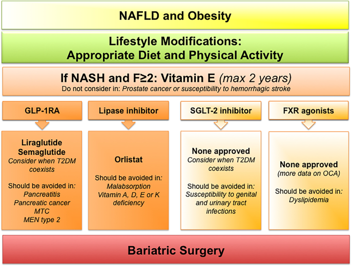 Anti-obesity Medications for the Management of Nonalcoholic Fatty Liver  Disease | Current Obesity Reports