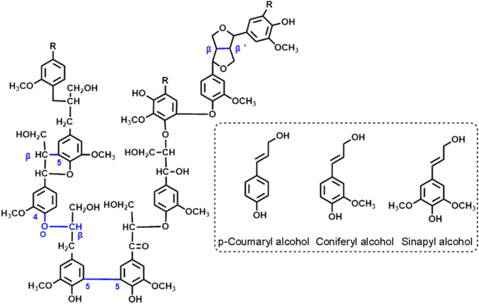 Sustainable Lignin-Based Coatings Doped with Titanium Dioxide  Nanocomposites Exhibit Synergistic Microbicidal and UV-Blocking Performance  toward Personal Protective Equipment