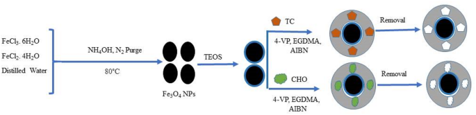 A dual-microcolumn magnetic molecularly imprinted polymer solid-phase extraction system coupled with UV–Vis spectrophotometry for simultaneous determination of tetracycline and chloramphenicol - Journal of the Iranian Chemical Society