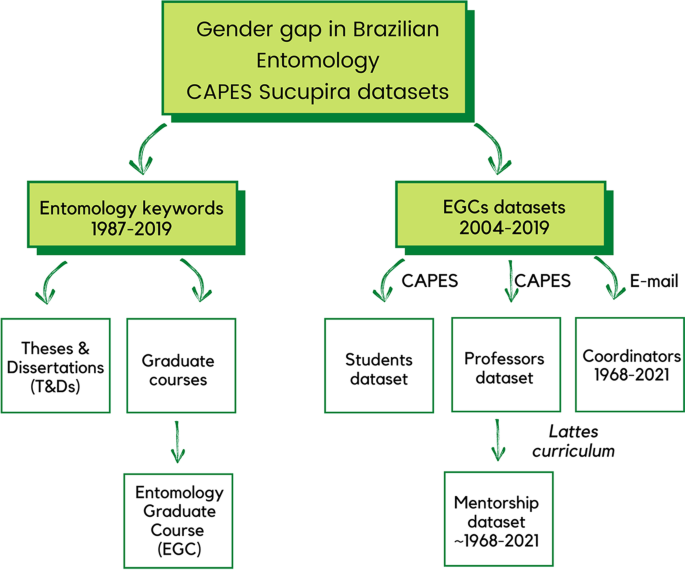 The Gender Gap in Brazilian Entomology: an Analysis of the