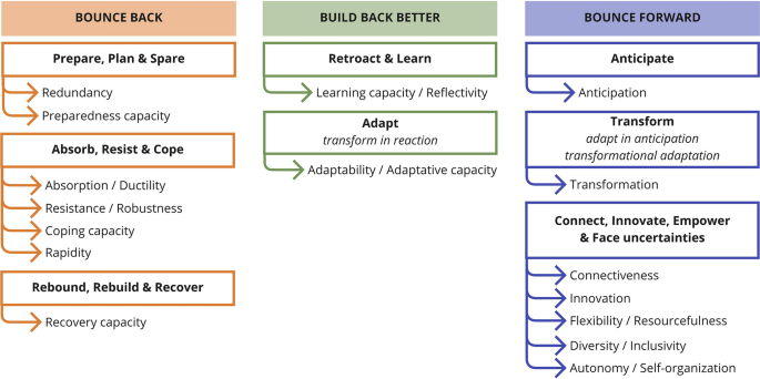 How to rebound from disasters? Resilience starts in the neighborhood