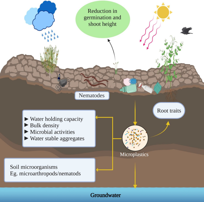 Brazilian group presents novel method of analyzing microplastic