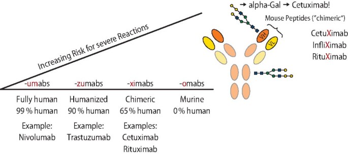 Validation of an anti-α-Gal IgE fluoroenzyme-immunoassay for the screening  of patients at risk of severe anaphylaxis to cetuximab, BMC Cancer