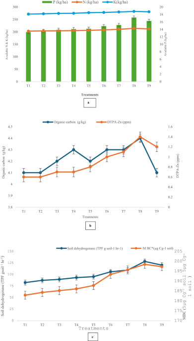 Response to Zinc-Based Fertilizer in Combination with Inoculation of Zinc Solubilizing Bacteria (ZSB) and Jeevamrit by Maize (Zea mays L.) Crop in Alkaline Soil - National Academy Science Letters