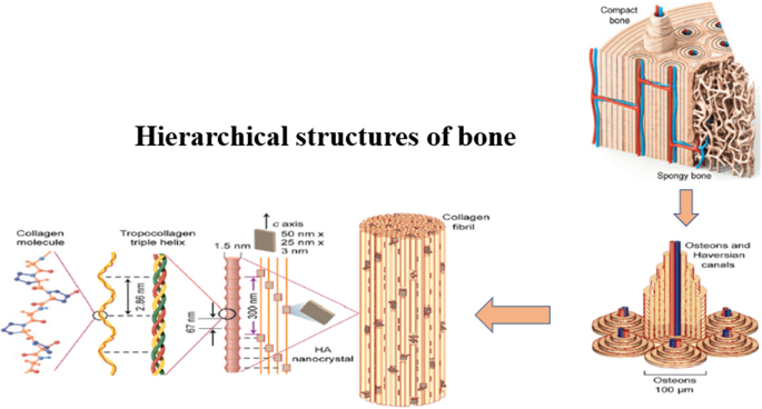 Multifunctional Biosensors Made with Self-Healable Silk Fibroin Imitating  Skin