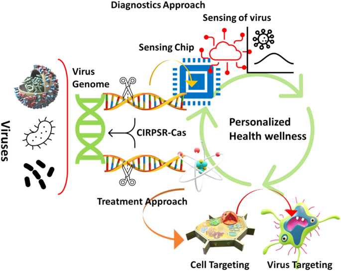 The CRISPR-Cas12a Platform for Accurate Genome Editing, Gene Disruption,  and Efficient Transgene Integration in Human Immune Cells