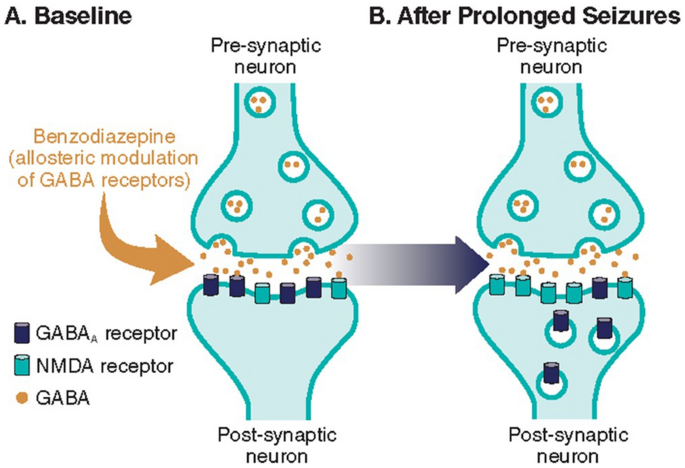 Treatment of Seizure Clusters in Epilepsy: A Narrative Review on Rescue  Therapies | Neurology and Therapy