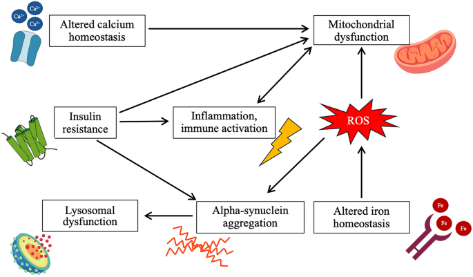 tirzepatide and parkinson's disease GLP-1 Receptor Agonists: A New Treatment in TD vs Drug-Induced Parkinsonism: Know