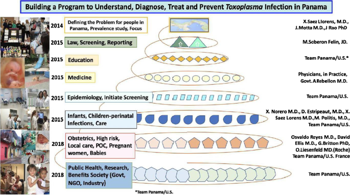 Building Programs to Eradicate Toxoplasmosis Part I: Introduction and  Overview | Current Pediatrics Reports | Springer Nature Link