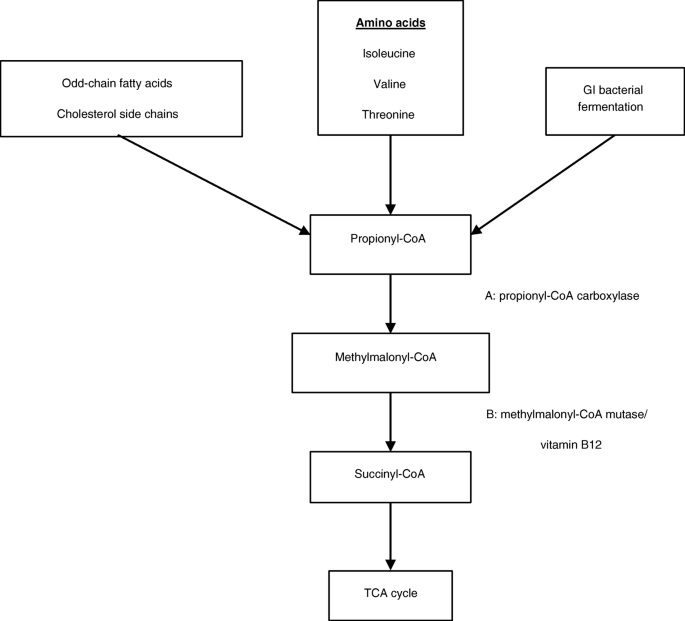 Anesthetic consideration of Niemann-Pick Disease type C