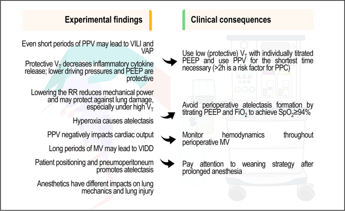 Perioperative and Intraoperative Mechanical Ventilation: Insights from Experimental Studies | Current Anesthesiology Reports | Springer Nature Link Perioperative and Intraoperative Mechanical Ventilation: Insights from Experimental Studies | Current Anesthesiology Reports | Springer Nature Link