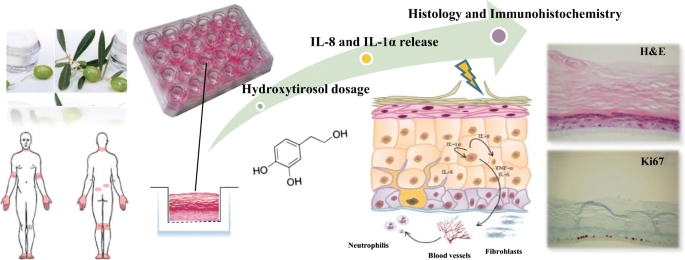 Hydroxytyrosol For Skin