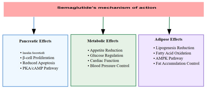 semaglutide pancreatitis legal team in kentucky The expanding role of semaglutide: beyond glycemic control | Journal of  Diabetes & Metabolic Disorders