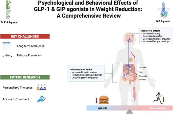 review of glp-1 Psychological and behavioral effects of GLP-1 and GIP agonists in weight  loss: a comprehensive review | Journal of Diabetes & Metabolic Disorders