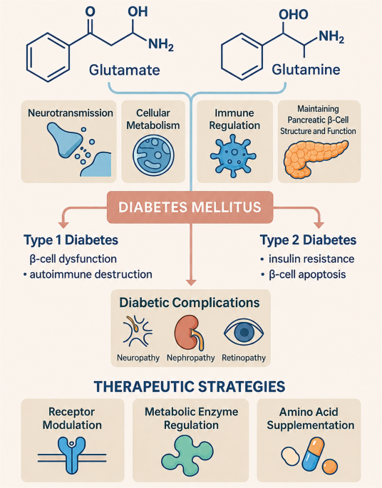 Glutamate-glutamine axis in pancreatic β-cells: mechanistic insights and therapeutic prospects in diabetes and its complications | Journal of Diabetes & Metabolic Disorders
