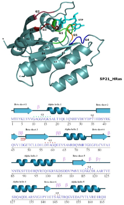 Insilico study to unveil the characteristics of pseudoRab GTPases in pathogenic protozoan parasites: Entamoeba histolytica - In Silico Pharmacology