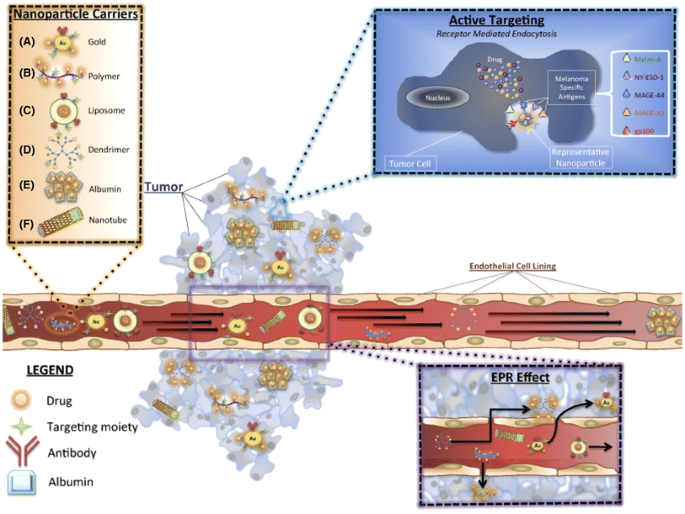 Nanodelivery systems for cutaneous melanoma treatment - ScienceDirect