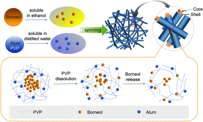 Core–shell alum-borneol fiber for high bioavailability