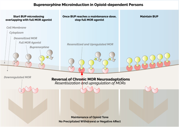 Making Buprenorphine Available without a Prescription, The Brink