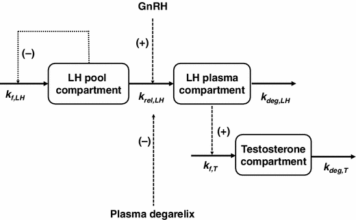 Pharmacokinetics and Pharmacokinetic–Pharmacodynamic Correlations of  Therapeutic Peptides | Clinical Pharmacokinetics