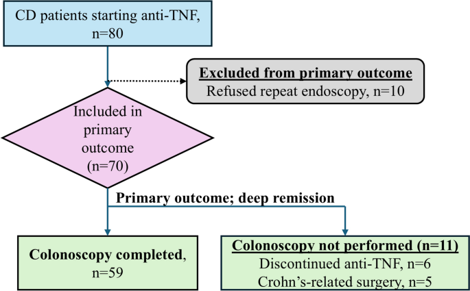 Pharmacometric Targets During Anti-TNF Induction and Their Association with Deep Remission in Pediatric Crohn’s Disease