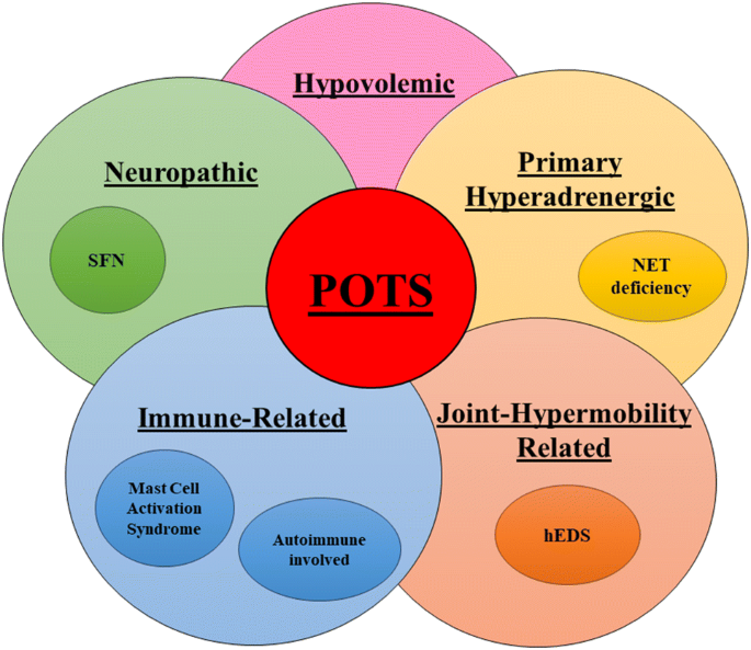 Postural Orthostatic Tachycardia Syndrome: Prevalence, Pathophysiology, and  Management | Drugs