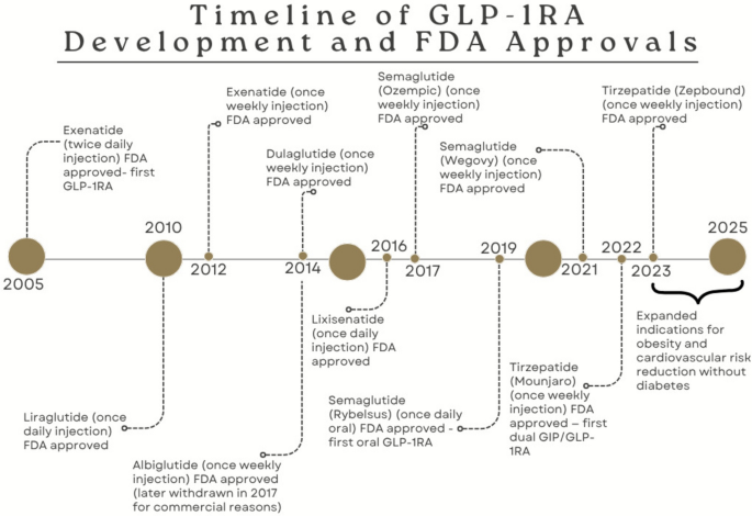 glp 1 agonist mechanism This review summarizes how GLP-1 and dual GIP/GLP-1 receptor agonists act  at the cellular level and their therapeutic applications in metabolic  diseases like type 2 diabetes and obesity, highlighting advances in  incretin-based