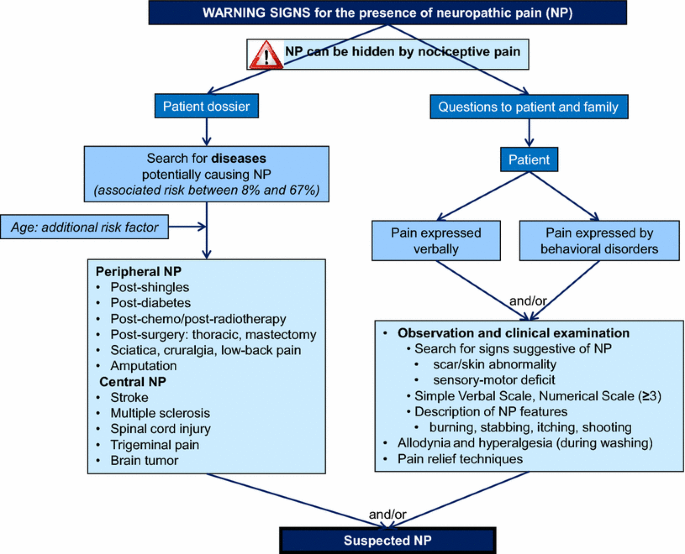 An Algorithm for Neuropathic Pain Management in Older People | Drugs & Aging
