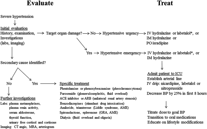 PDF] Managing Hypertension in Patients With Stroke Are You Prepared for  Labetalol Infusion