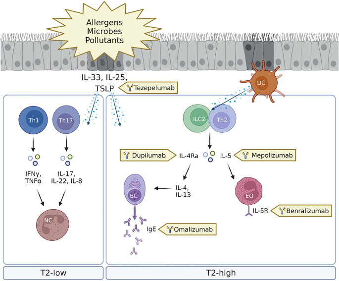 Dupilumab in Children with Uncontrolled Moderate-to-Severe Asthma