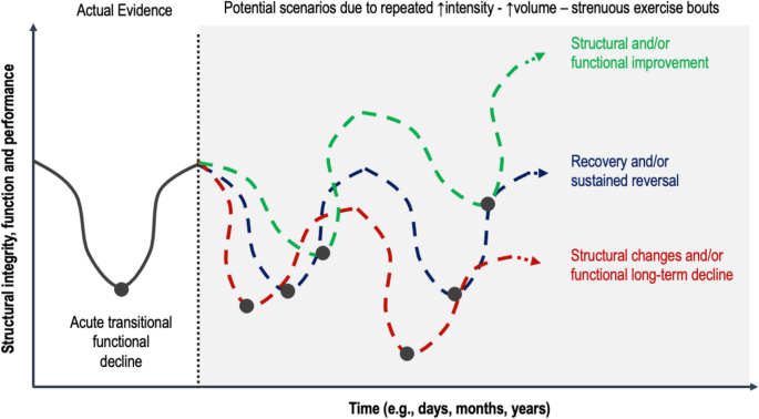 Training Program Considerations for Endurance Runners