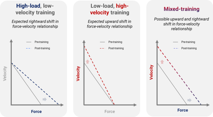 Within Session Exercise Sequencing During Programming for Complex Training:  Historical Perspectives, Terminology, and Training Considerations