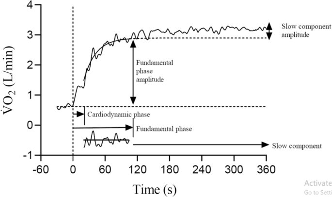 Exercise versus no exercise for the occurrence, severity and