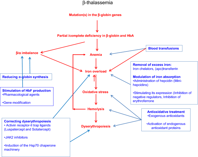l gultamine glutathione l glutathione and l glutamine glutathione injection indication Integrative  Medicine  L-glutamine