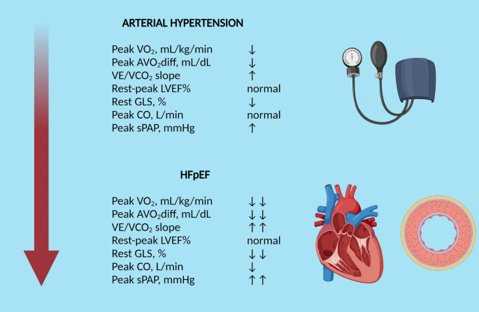 Hypertension Management - Managing High Blood Pressure with Dario