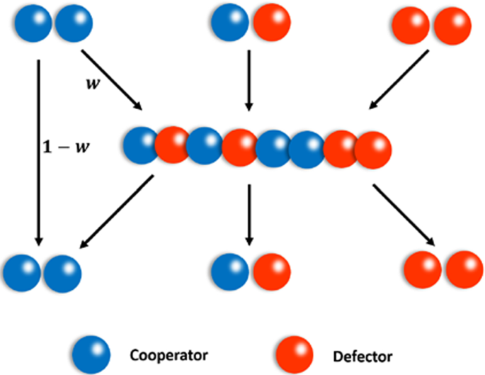 How to Triumph and Cooperate in Game Theory and Evolution