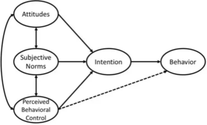Theory of Planned Behavior Factors Influencing E-cigarette Use Among  Adolescents: A Systematic Review | Current Addiction Reports