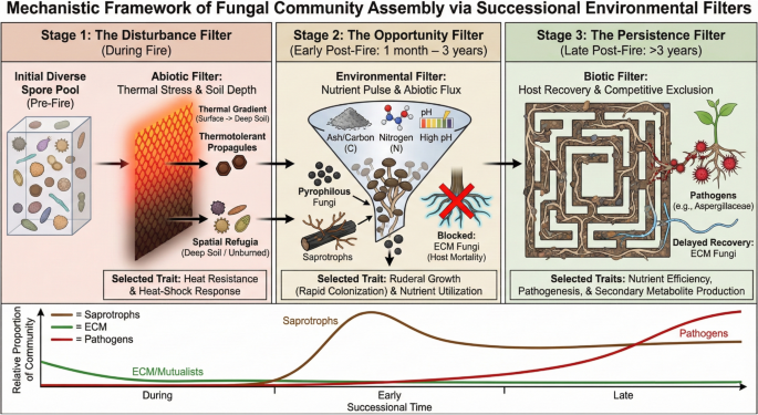Environmental Fungi at the Climate-Fire Interface: Implications for Emerging Pathogenicity