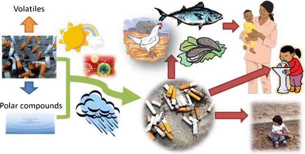 Tobacco Product Waste: An Environmental Approach to Reduce Tobacco  Consumption | Current Environmental Health Reports