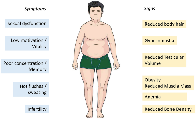 Adult- and late-onset male hypogonadism: the clinical practice guidelines  of the Italian Society of Andrology and Sexual Medicine (SIAMS) and the  Italian Society of Endocrinology (SIE) | Journal of Endocrinological  Investigation |