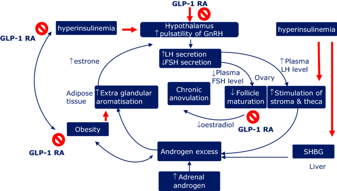 starting glp 1 GLP-1