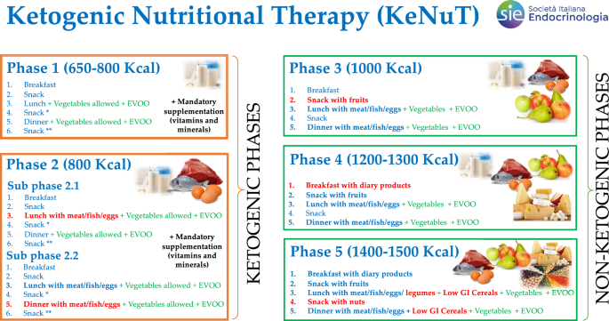 Ketogenic nutritional therapy (KeNuT)a multi-step dietary model with meal  replacements for the management of obesity and its related metabolic  disorders: a consensus statement from the working group of the Club of the
