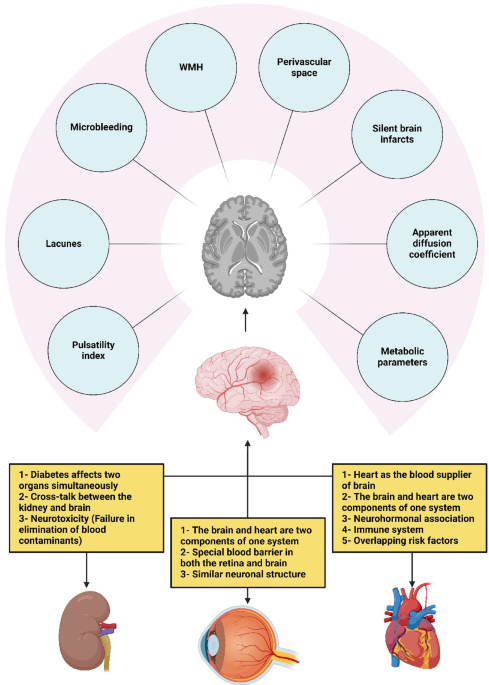 dihexa vs cerebrolysin Frontiers main image 1