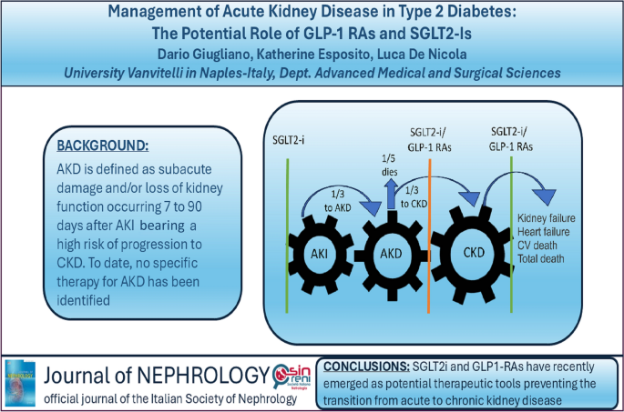 can glp 1 damage kidneys Management of acute kidney disease in type 2 diabetes: the potential role  of GLP-1 RAs and SGLT2-Is | Journal of Nephrology